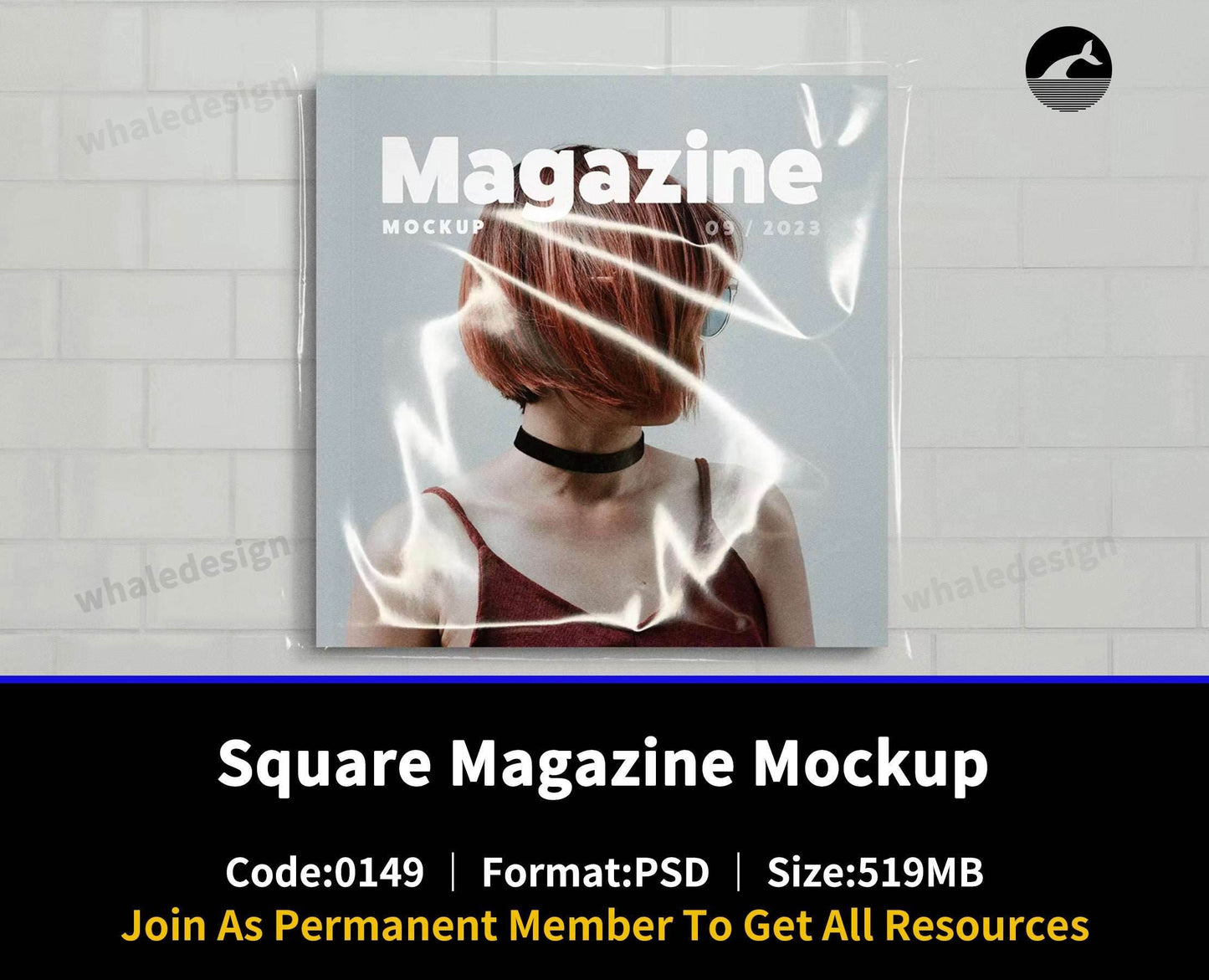 149Square Magazine Mockup - whaledesign