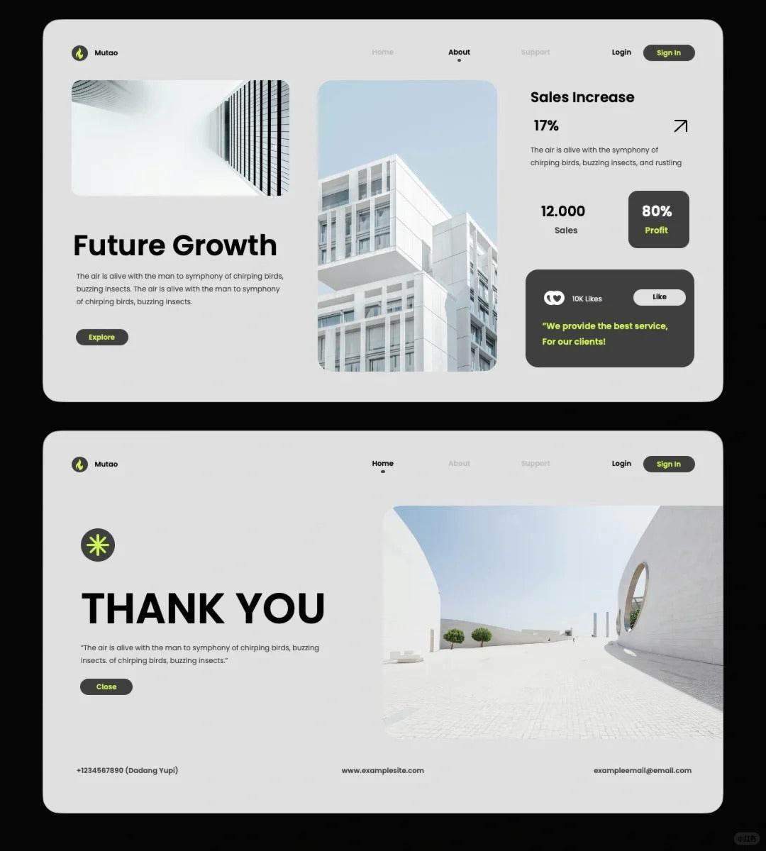 1021 High-end PPT template suitable for project reporting - whaledesign