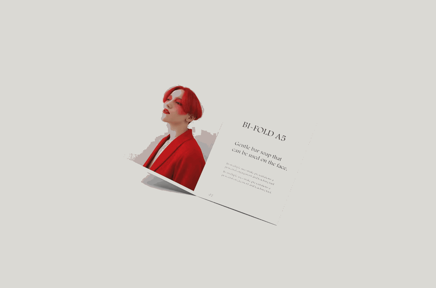 102A5 Bi-fold Mockup - whaledesign