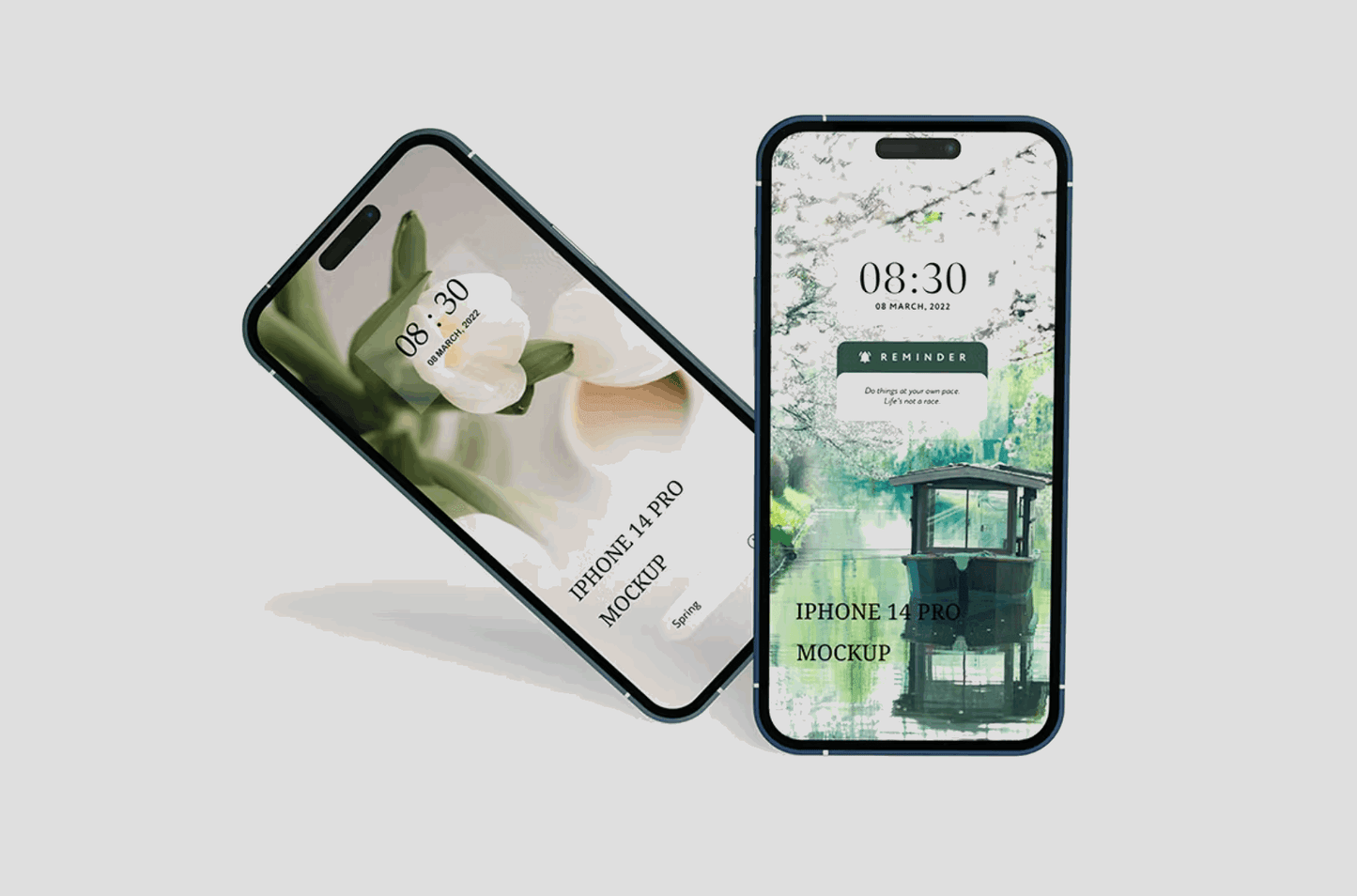 158iPhone 14 pro max Mockup - whaledesign