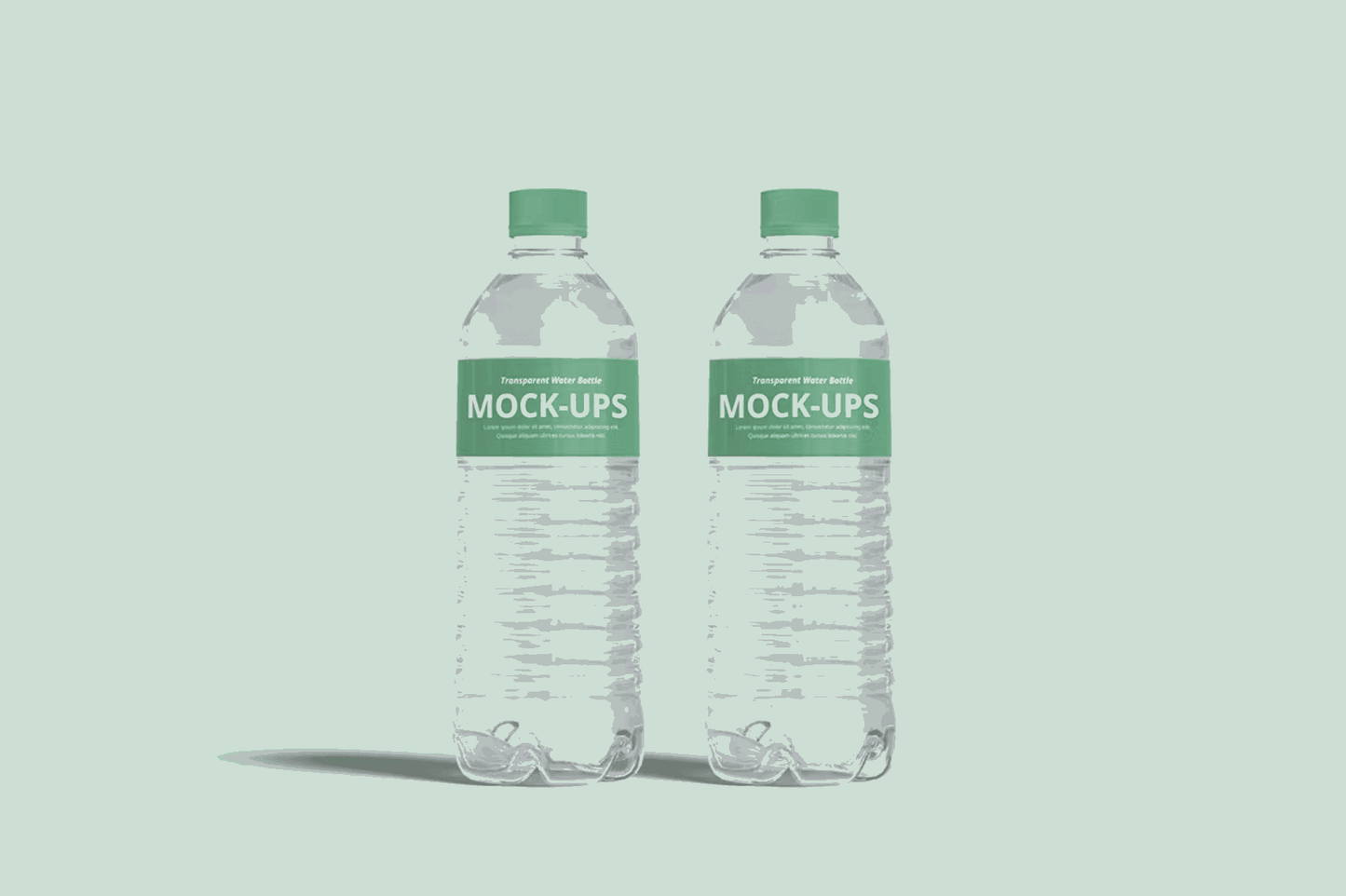 135Transparent Water Bottle Mockup - whaledesign