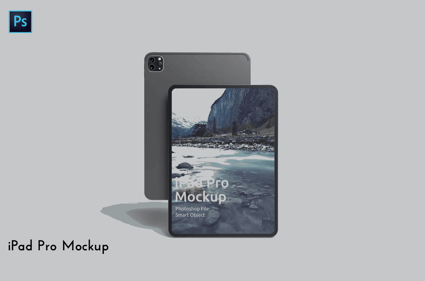 214ipad Pro Mockup - whaledesign