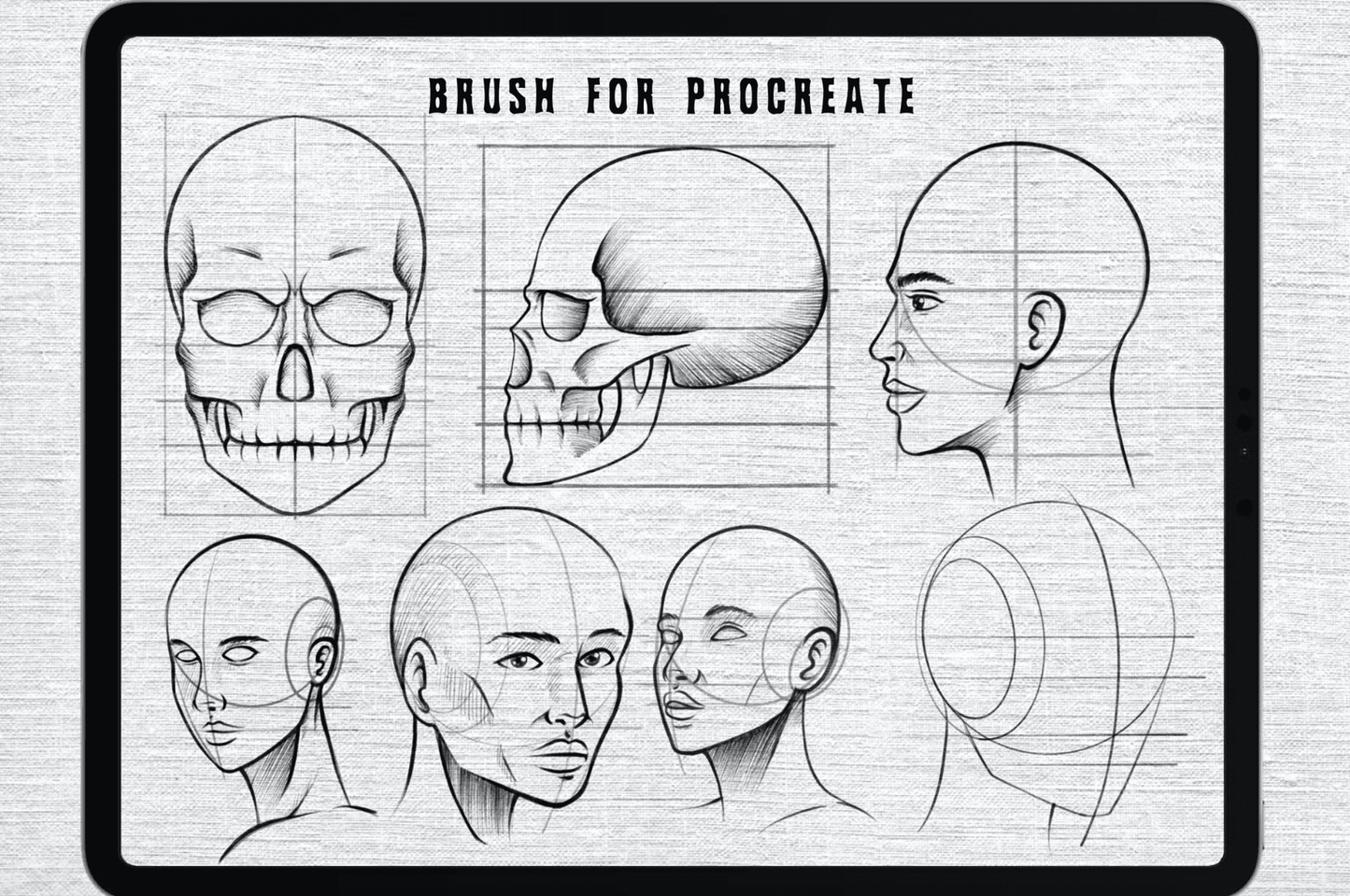 555 Face Skecth Brush For Procreate - whaledesign