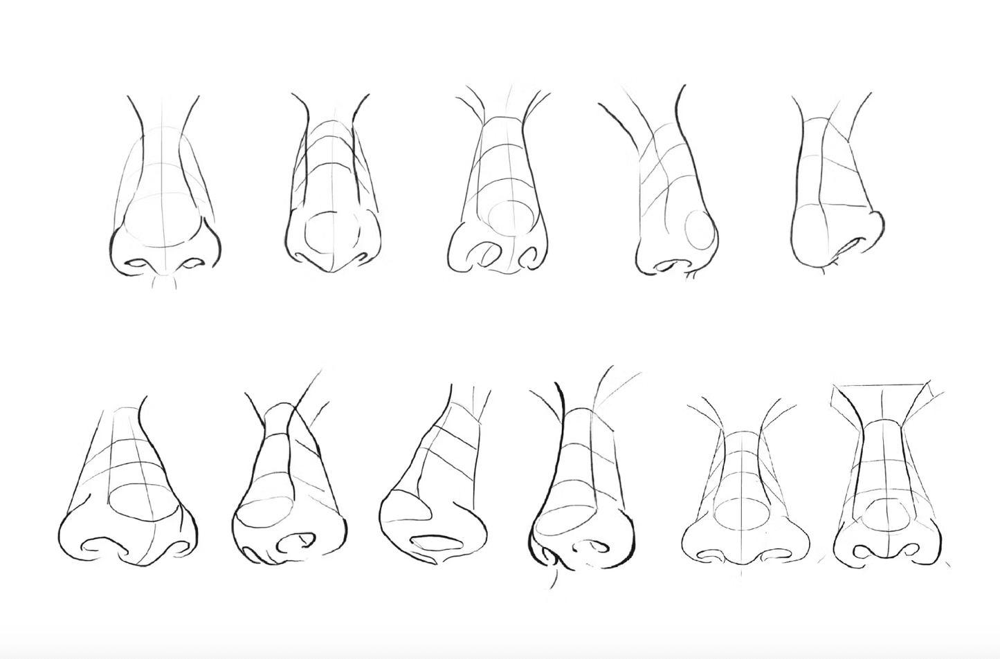 566 10 Nose Stamp Procreate - whaledesign