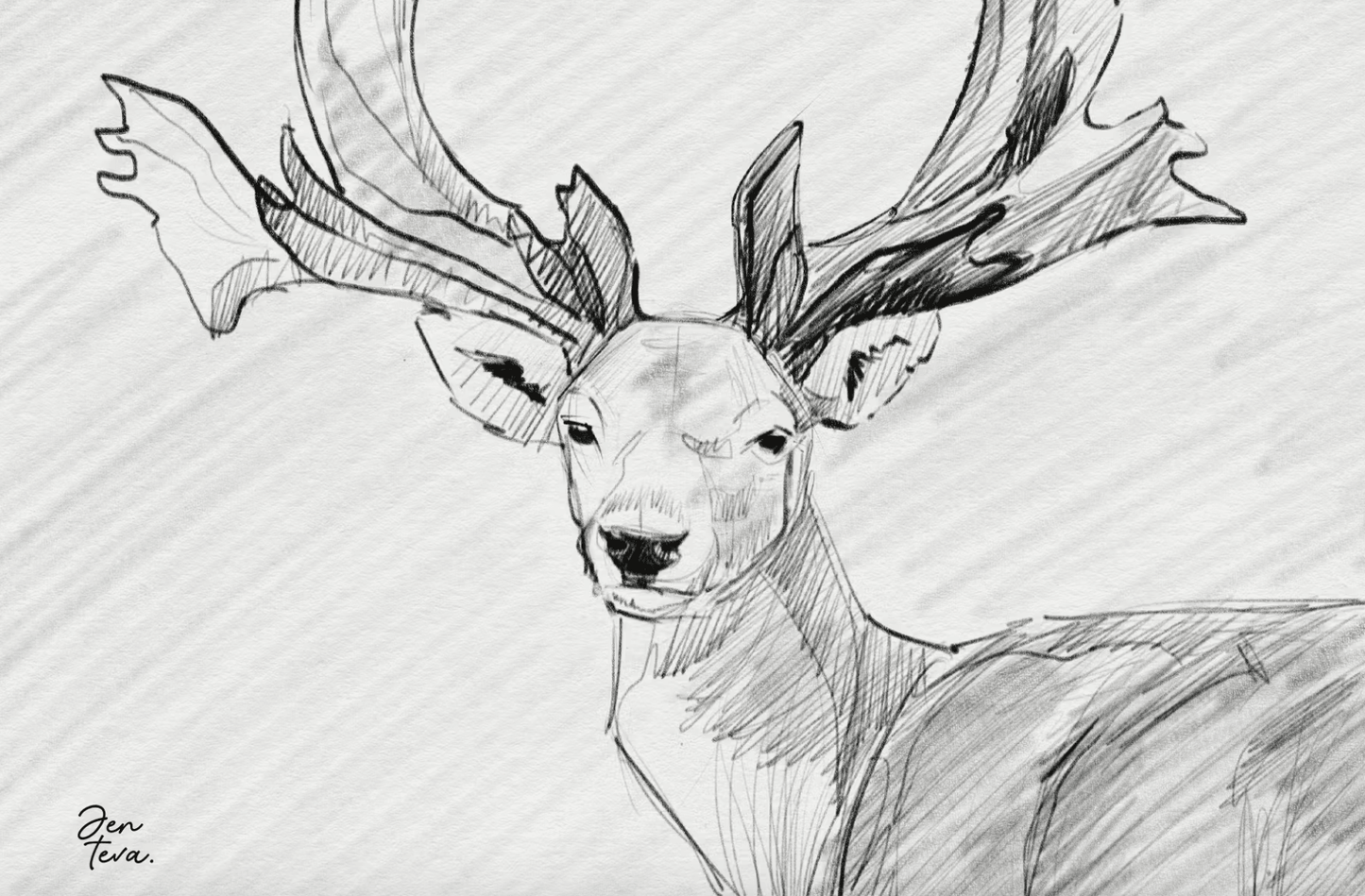 589 Graphite Pencils for Procreate - whaledesign