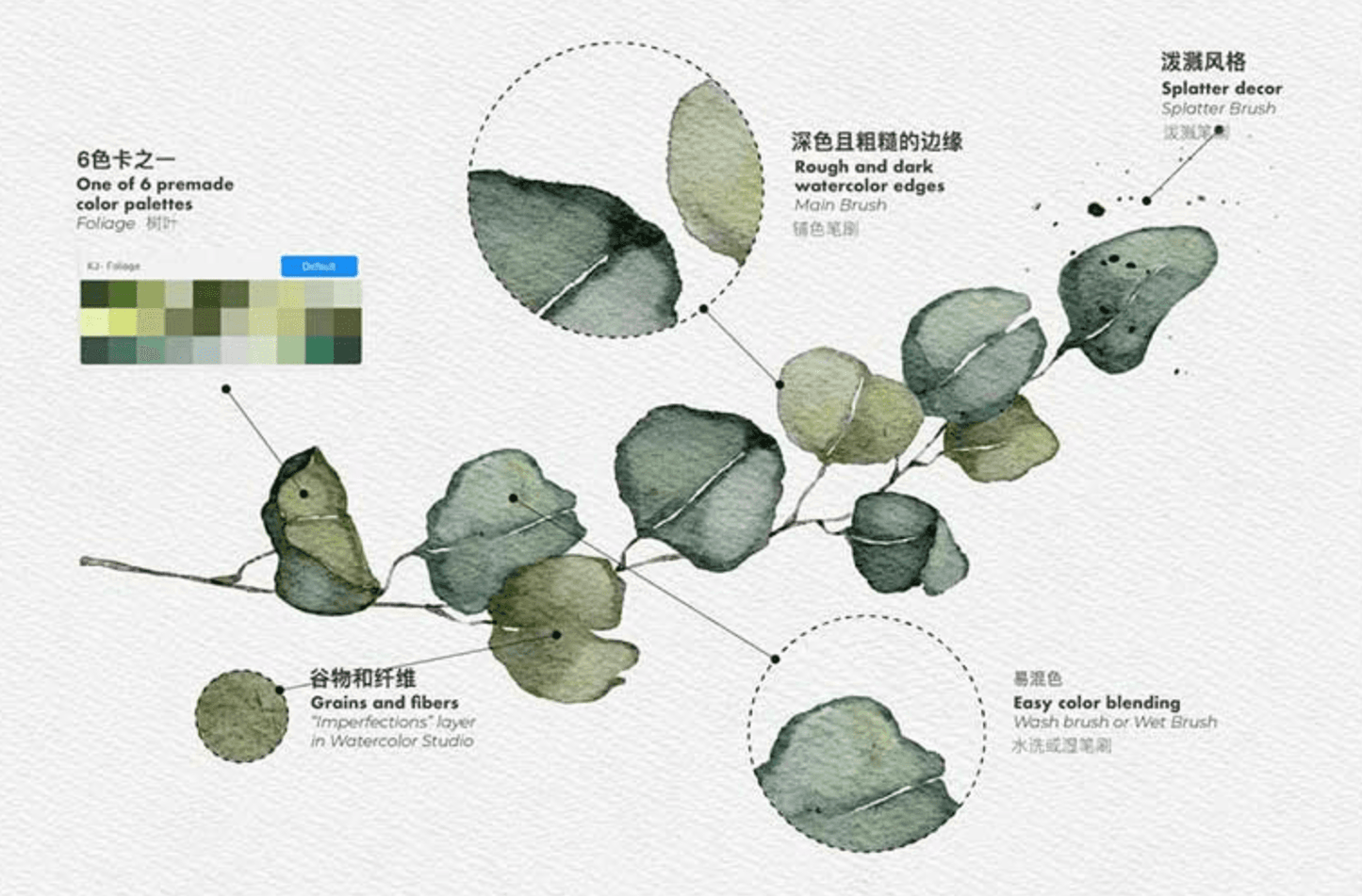 759 The Brush Closest to Real Watercolor Effect on the Entire Network - whaledesign