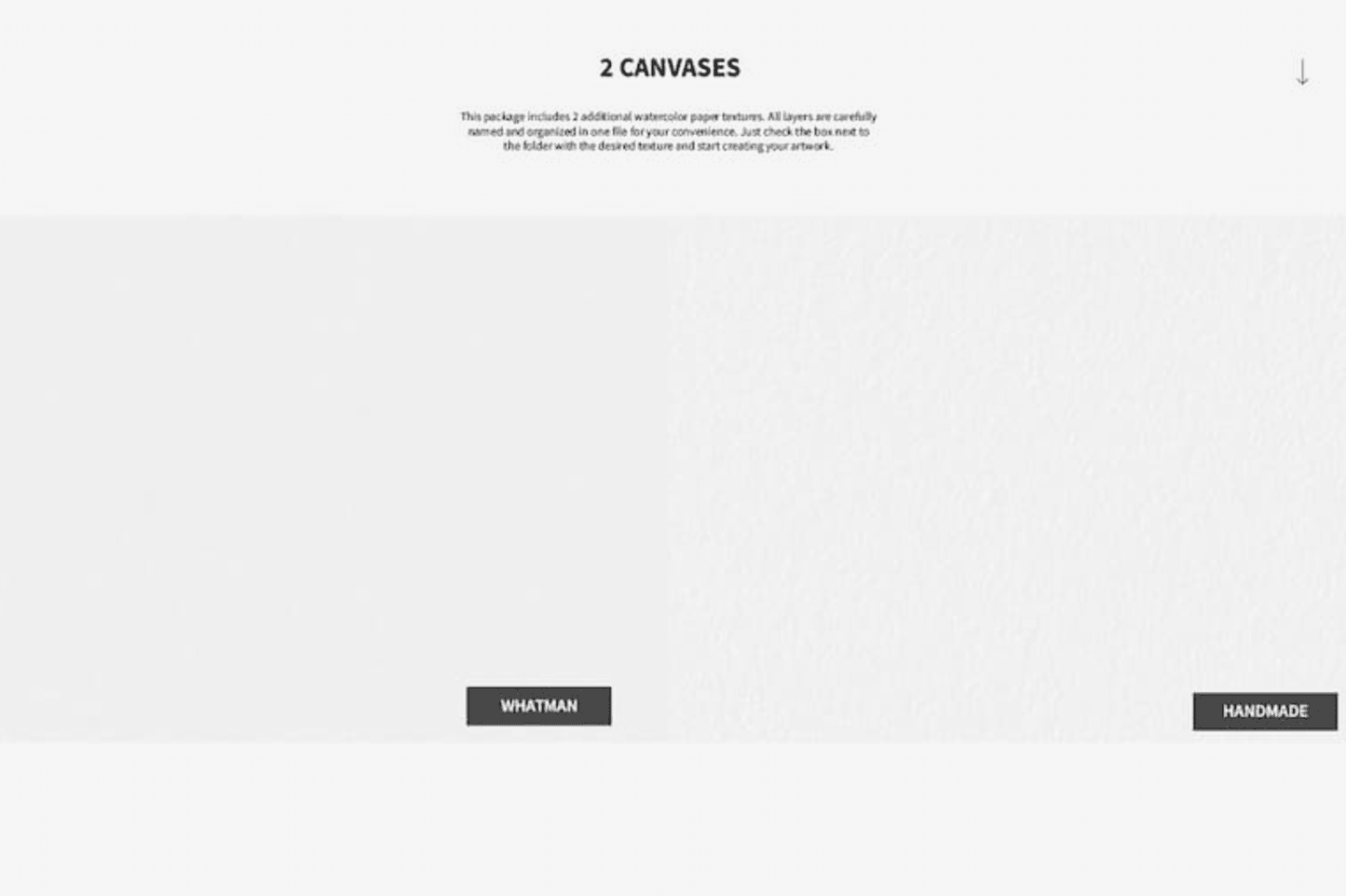 786 Graphite Pencil Brush - whaledesign