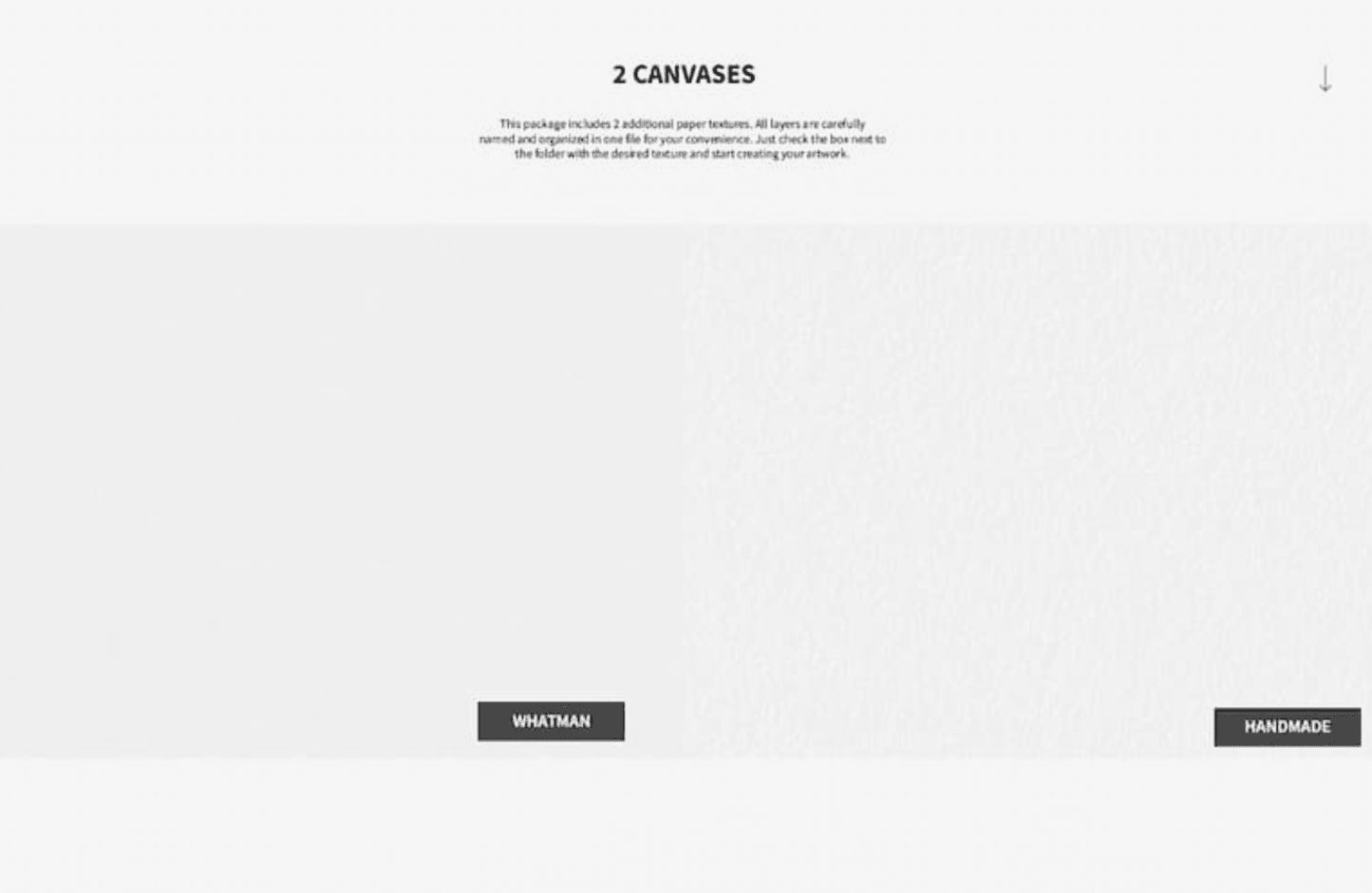 788 Professional Smooth Outlining Brush - whaledesign