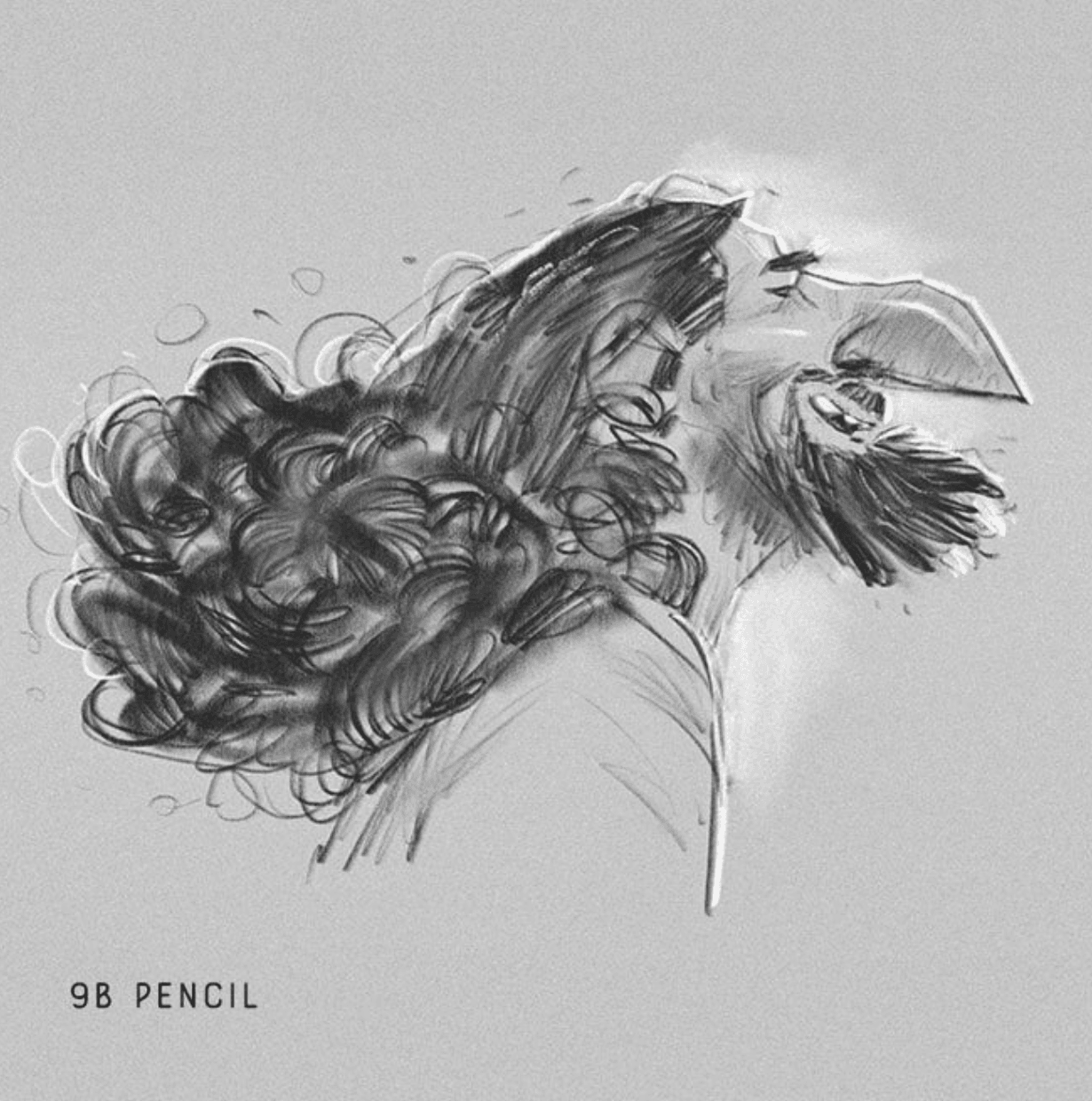 805 Essential Brush Pack - MaxPack v2 - whaledesign