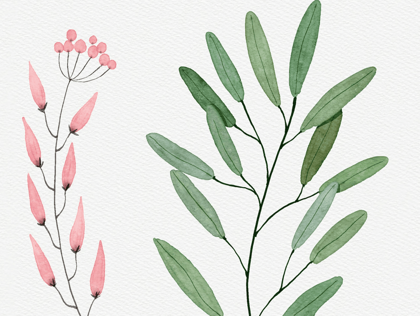 854 Procreate Watercolor Brush and Texture Paper Set - whaledesign