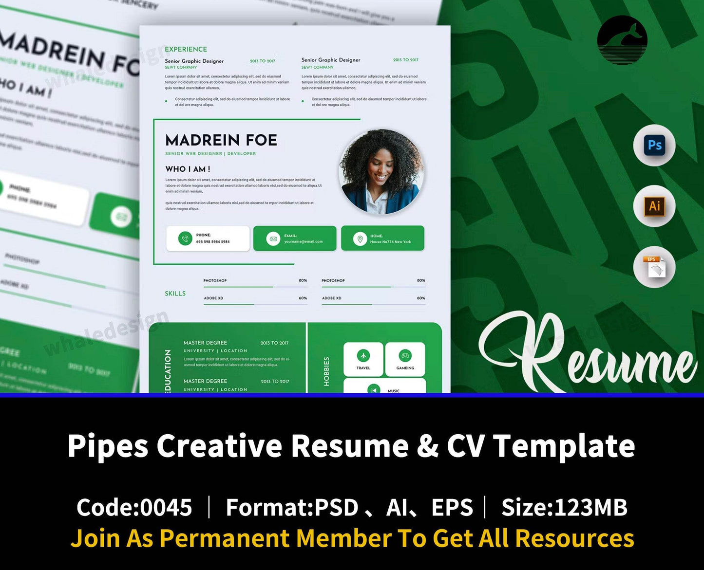45Pipes Creative Resume & CV Template - whaledesign