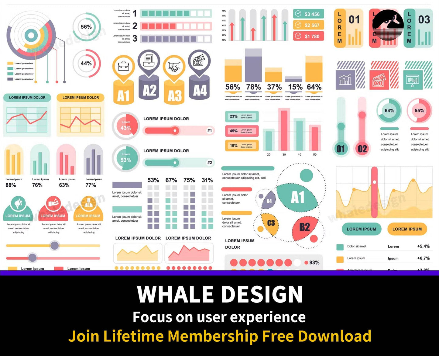 295Marketing Infographics - whaledesign