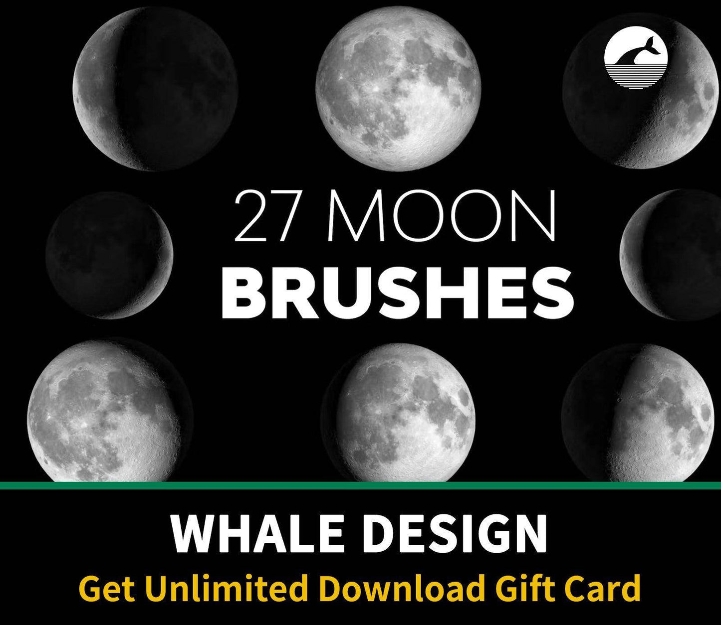 547 Moon Brushes - whaledesign