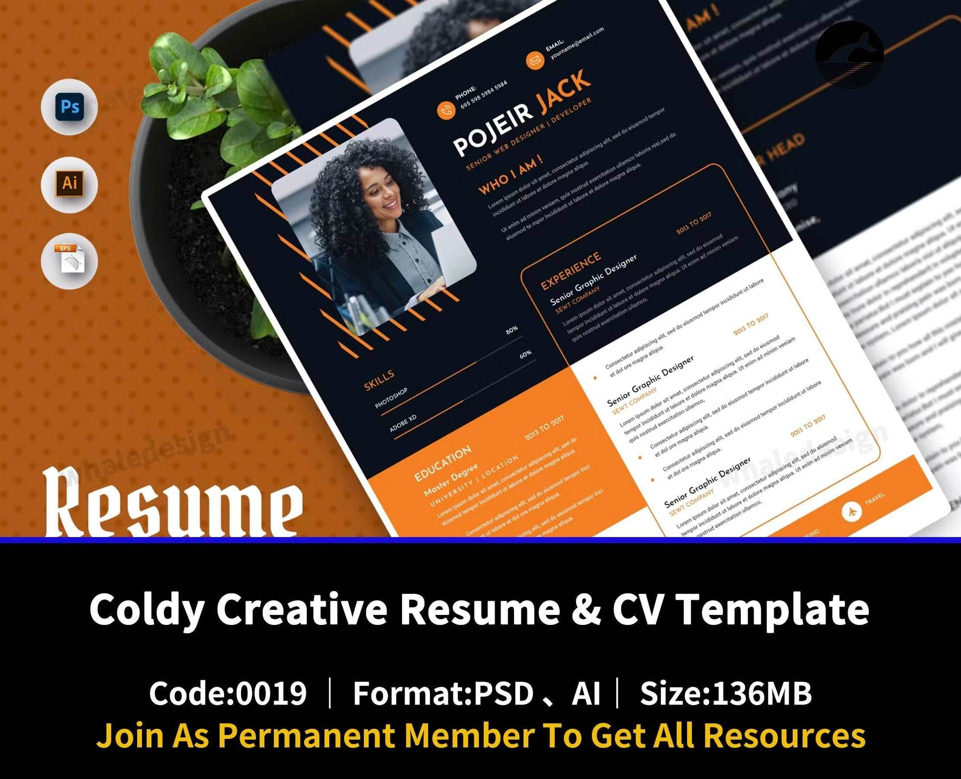 19Coldy Creative Resume & CV Template - whaledesign