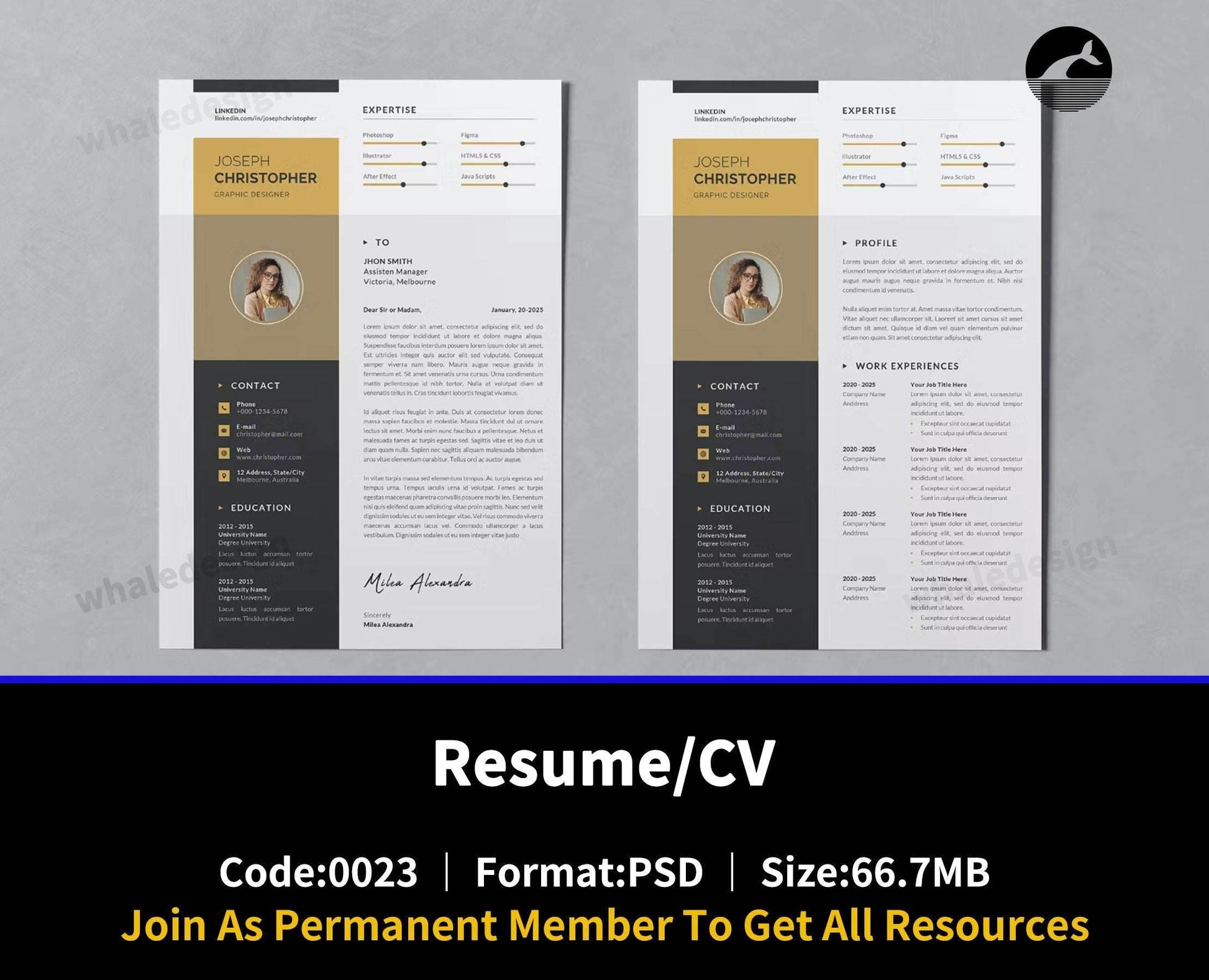 23Resume/CV - whaledesign