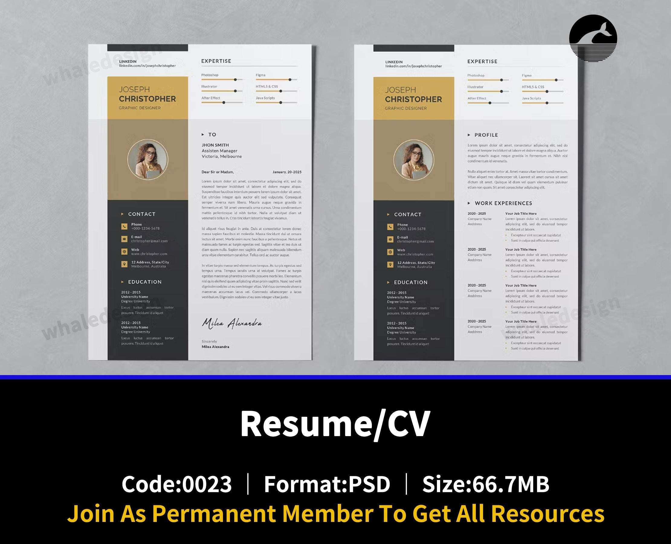 23Resume/CV