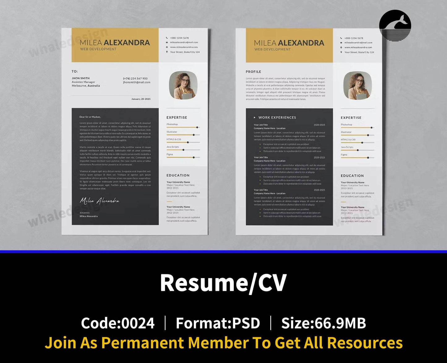 24Resume/CV - whaledesign