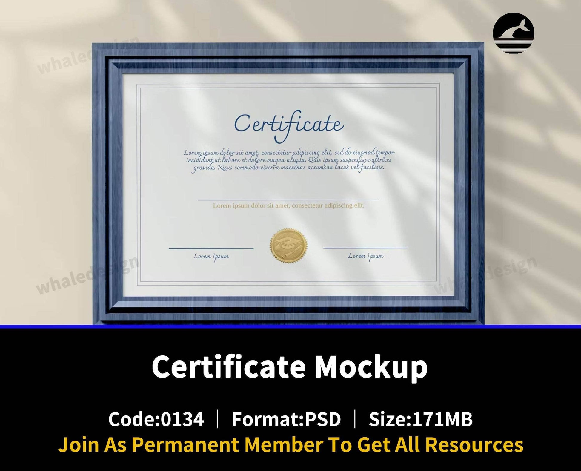 134Certificate Mockup - whaledesign