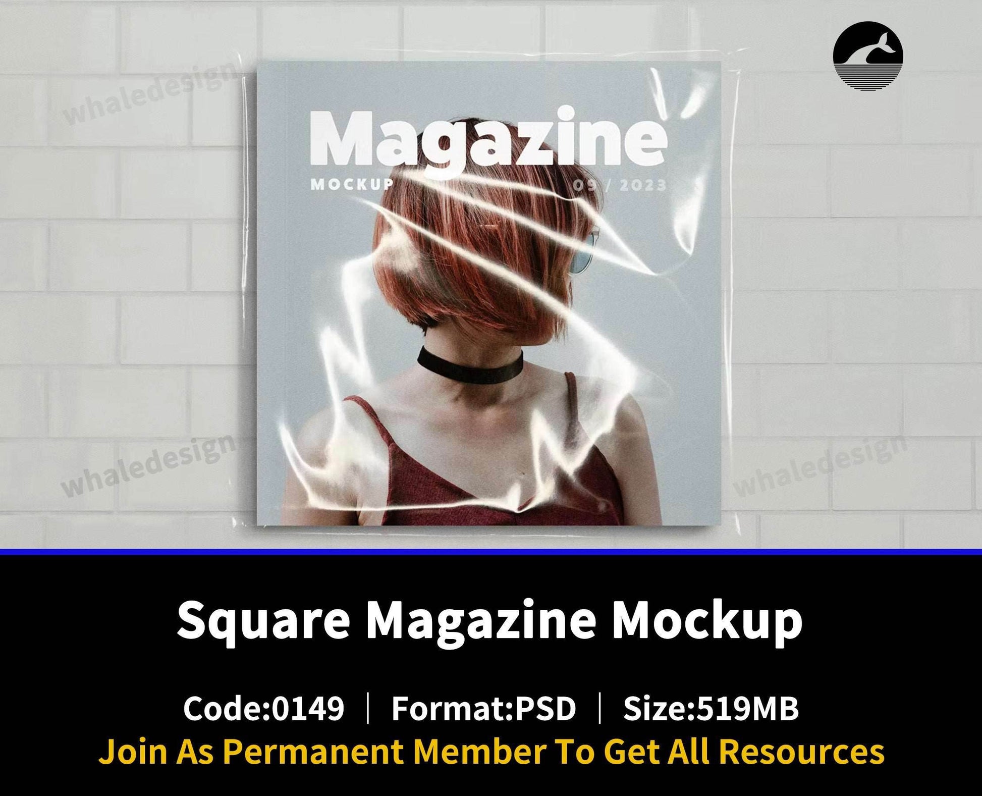 149Square Magazine Mockup - whaledesign