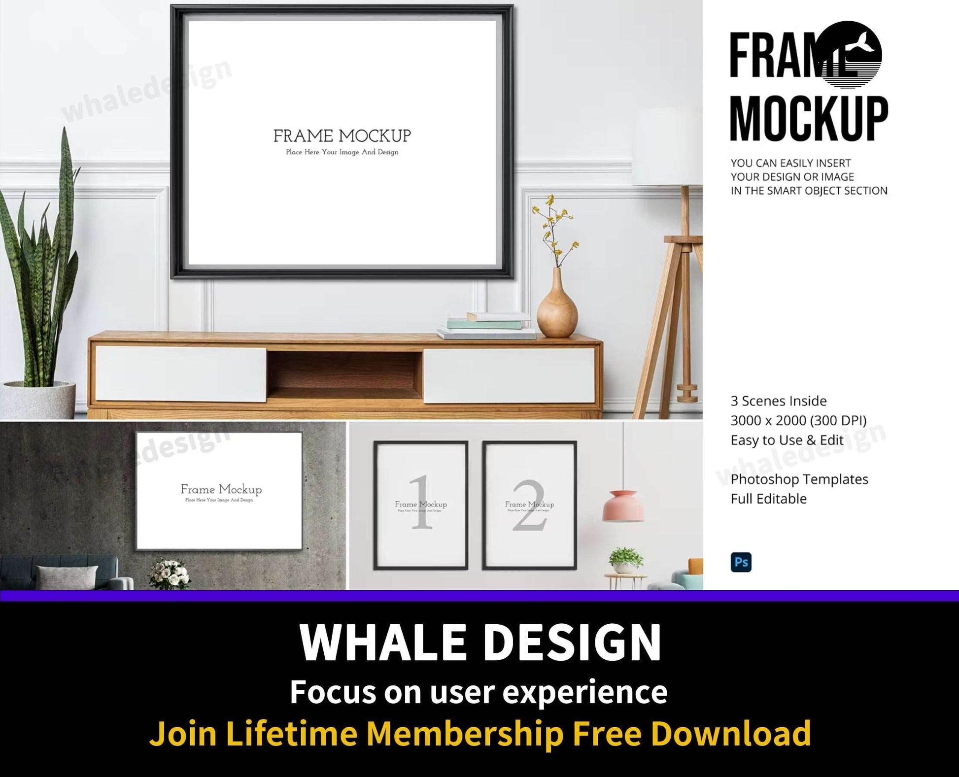 209Frame Mockups v13 - whaledesign
