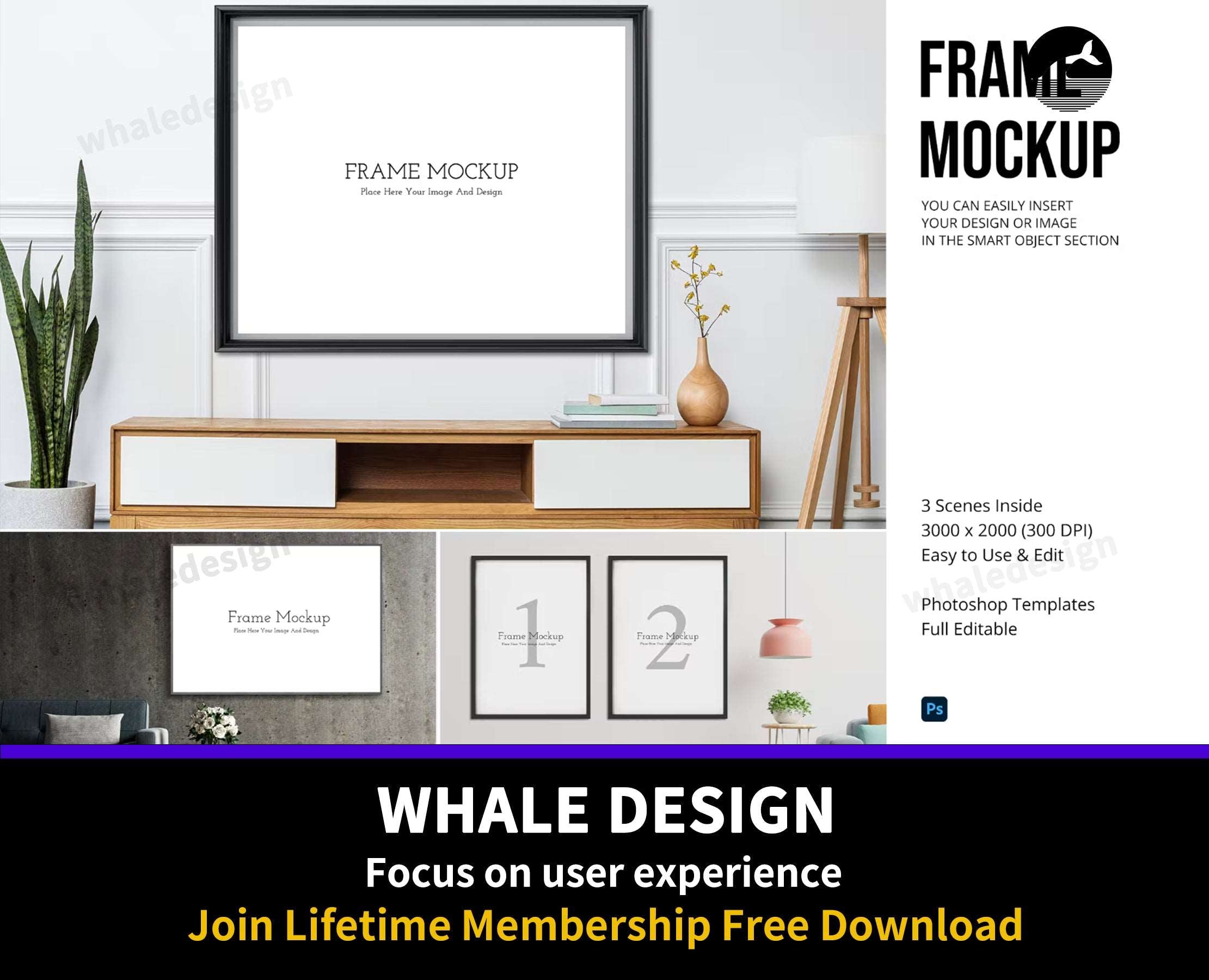 209Frame Mockups v13