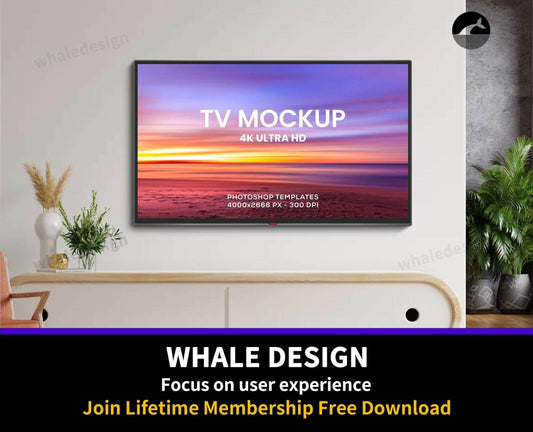 211TV Mockup v6 - whaledesign