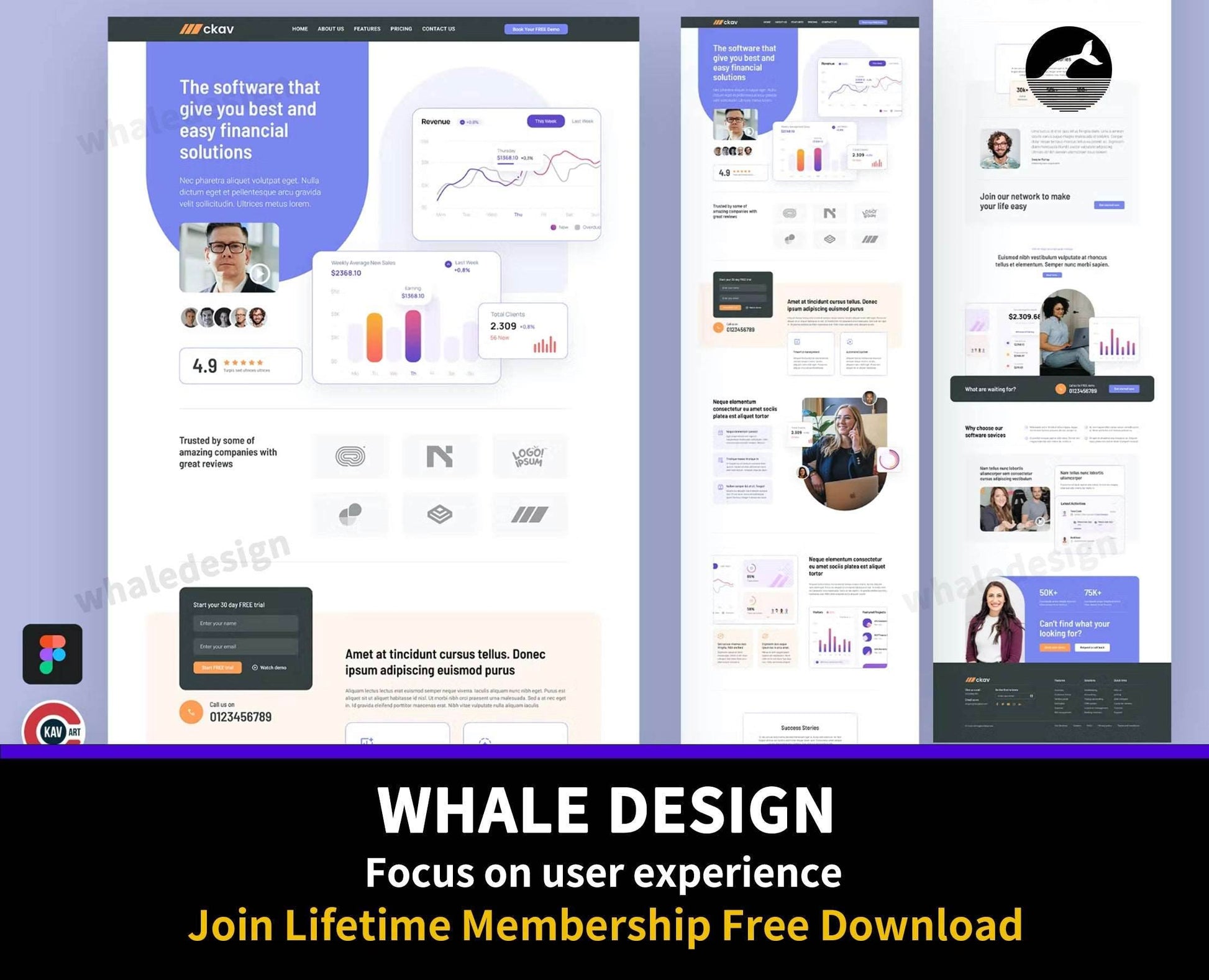 226San - Financial Service Landing Page Design - whaledesign