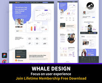 226San - Financial Service Landing Page Design - whaledesign