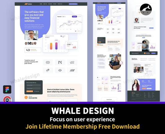 226San - Financial Service Landing Page Design - whaledesign
