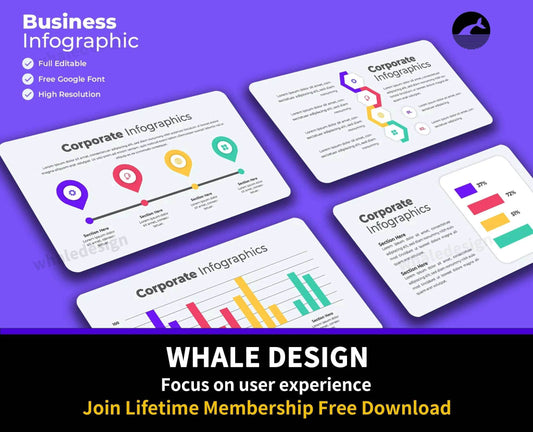 242Education Infographics - whaledesign
