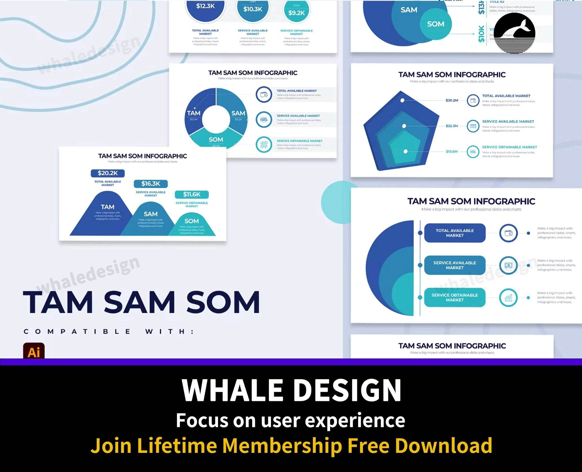 249Business TAM SAM SOM Illustrator Infographics - whaledesign
