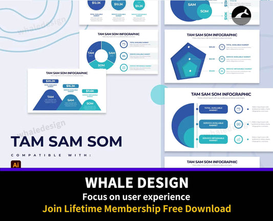 249Business TAM SAM SOM Illustrator Infographics - whaledesign