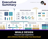 260Business Executive Summary Illustrator Infographic - whaledesign