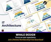 263Business IT Architecture Illustrator Infographics - whaledesign