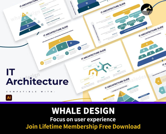 263Business IT Architecture Illustrator Infographics - whaledesign