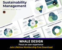 268Sustainability Management Illustrator Infographics - whaledesign