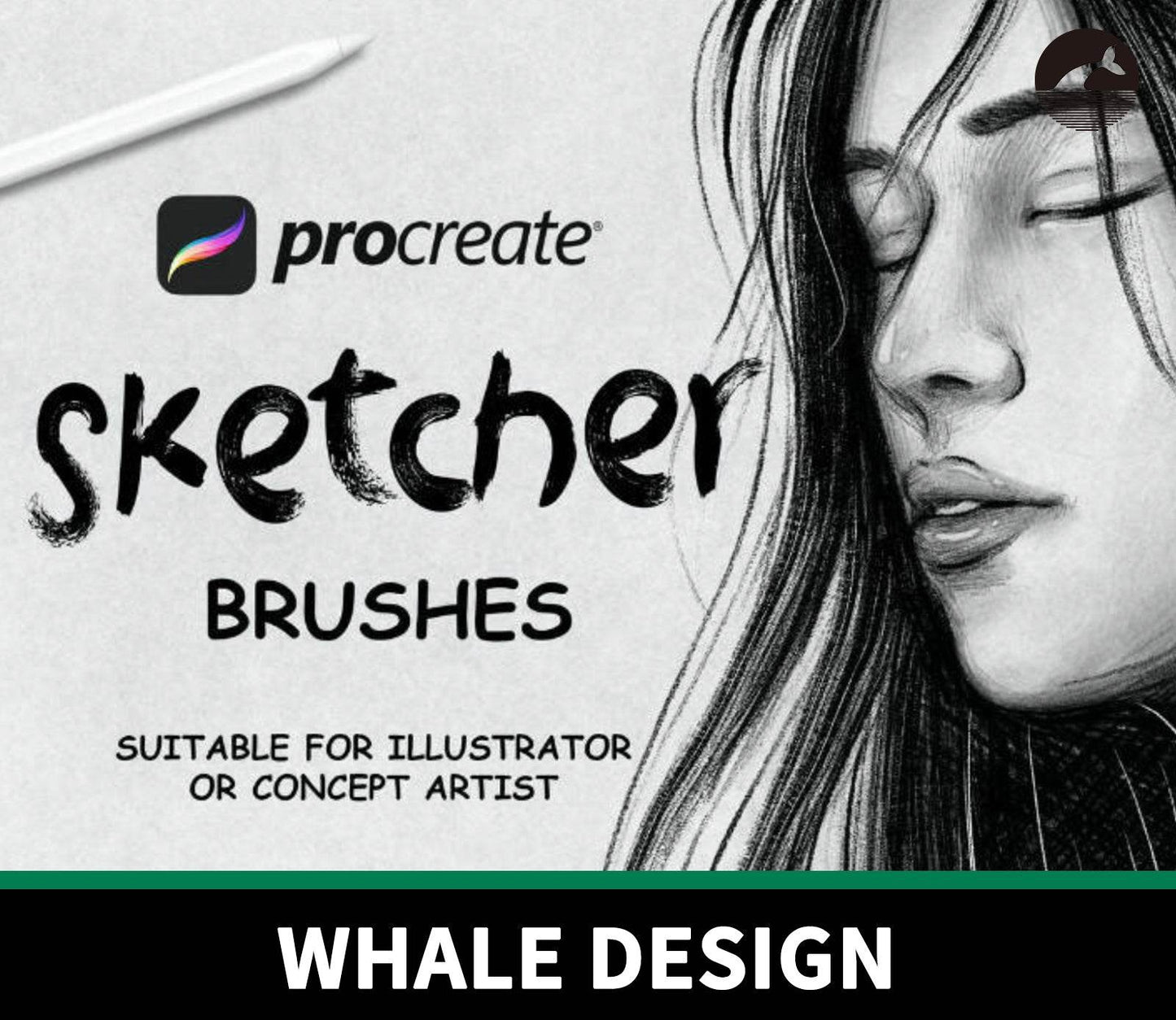 858 Sketching Brushes, Charcoal and Pencil - whaledesign