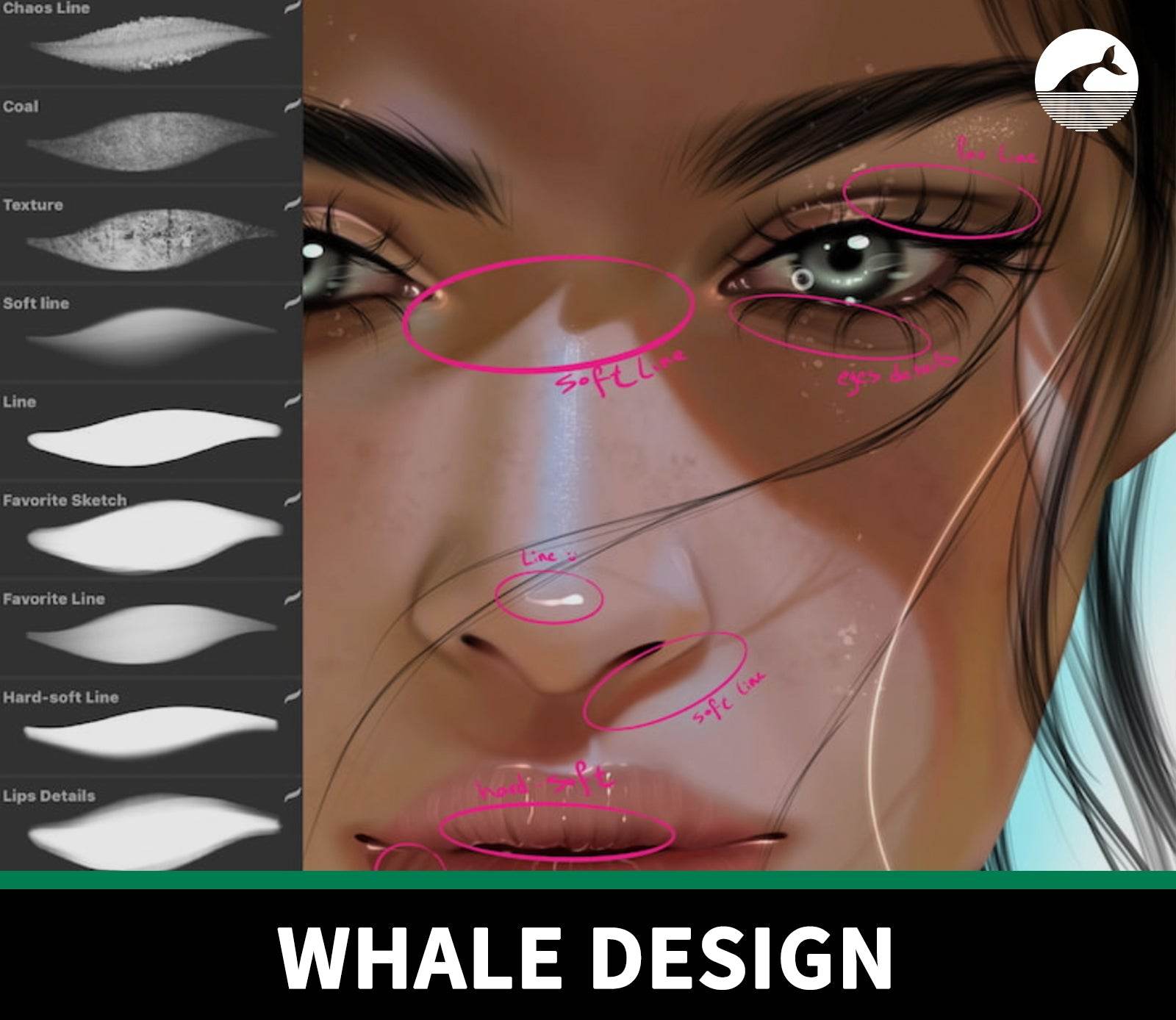 893 Face Highlight and Shadow Detail Brush Set - whaledesign