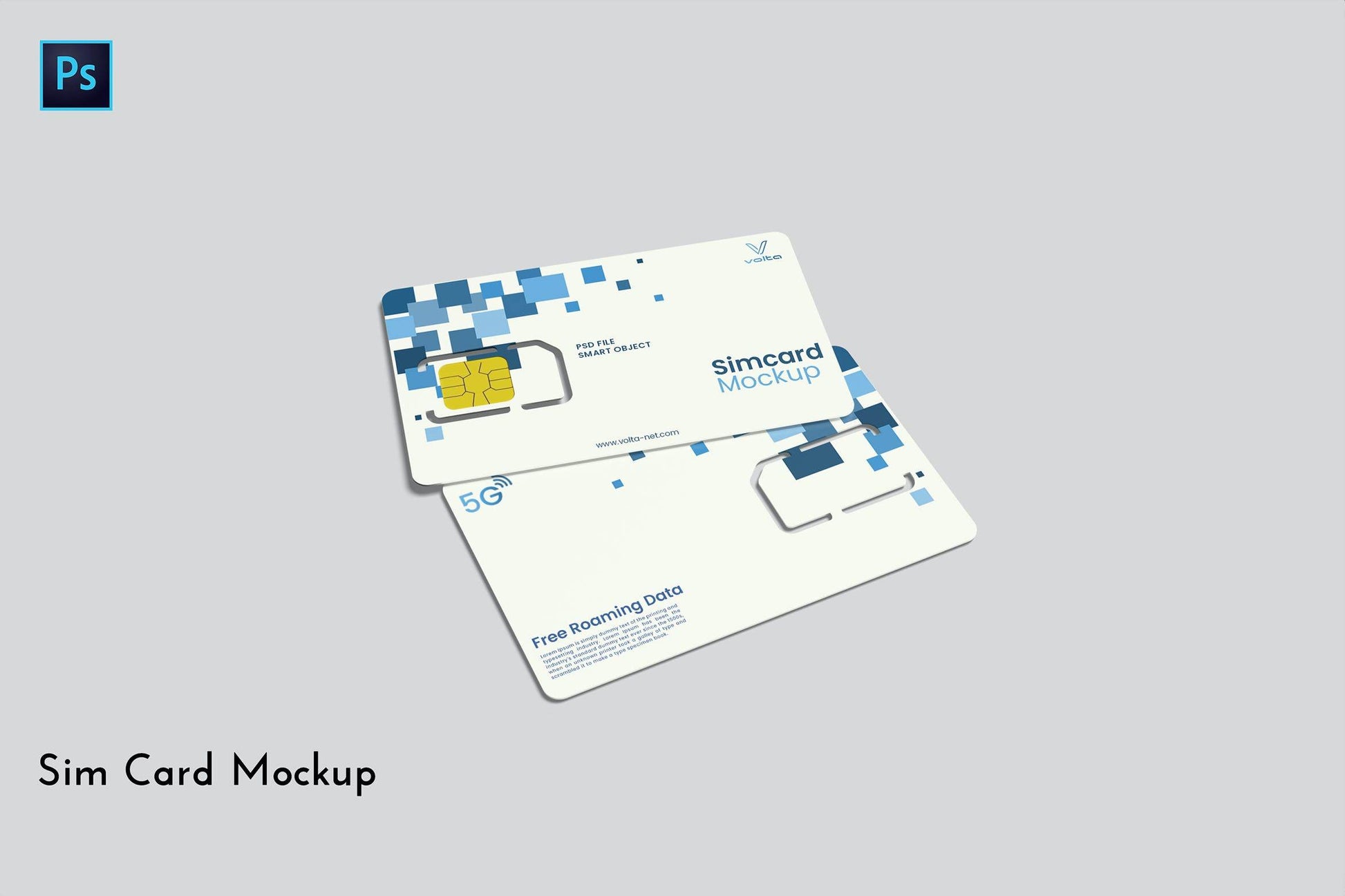 349Sim Card Mockup - whaledesign