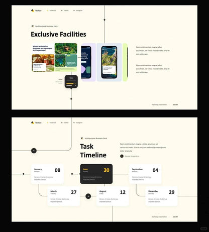 1032 High-level visual guide line PPT template - whaledesign