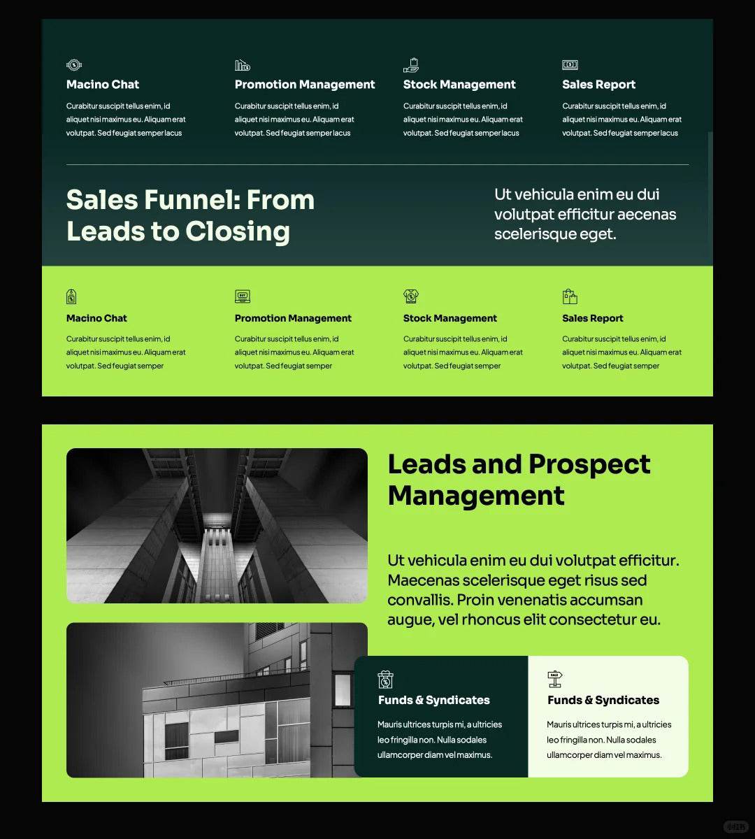 1068 Learn the 3:6:1 color matching and your PPT will look 10 times better! - whaledesign