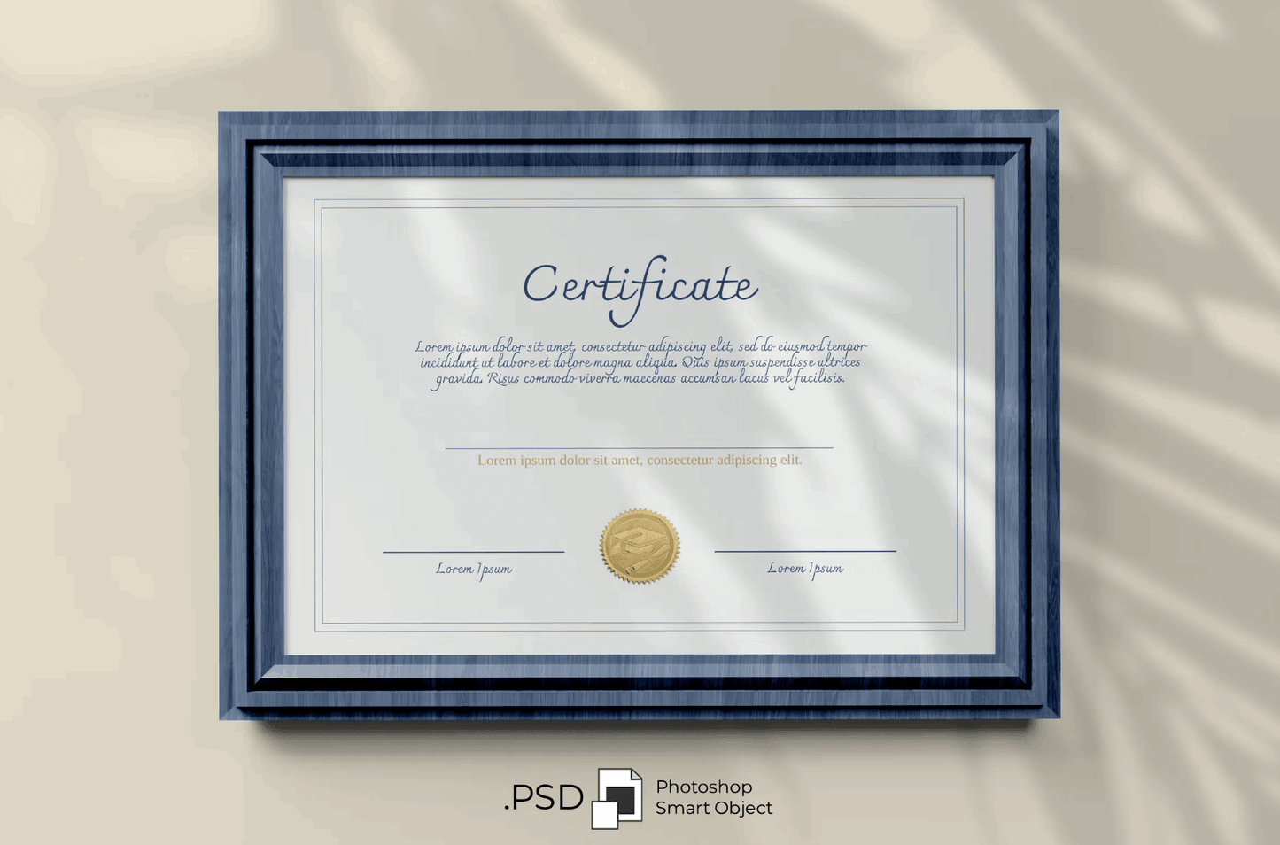 134Certificate Mockup - whaledesign