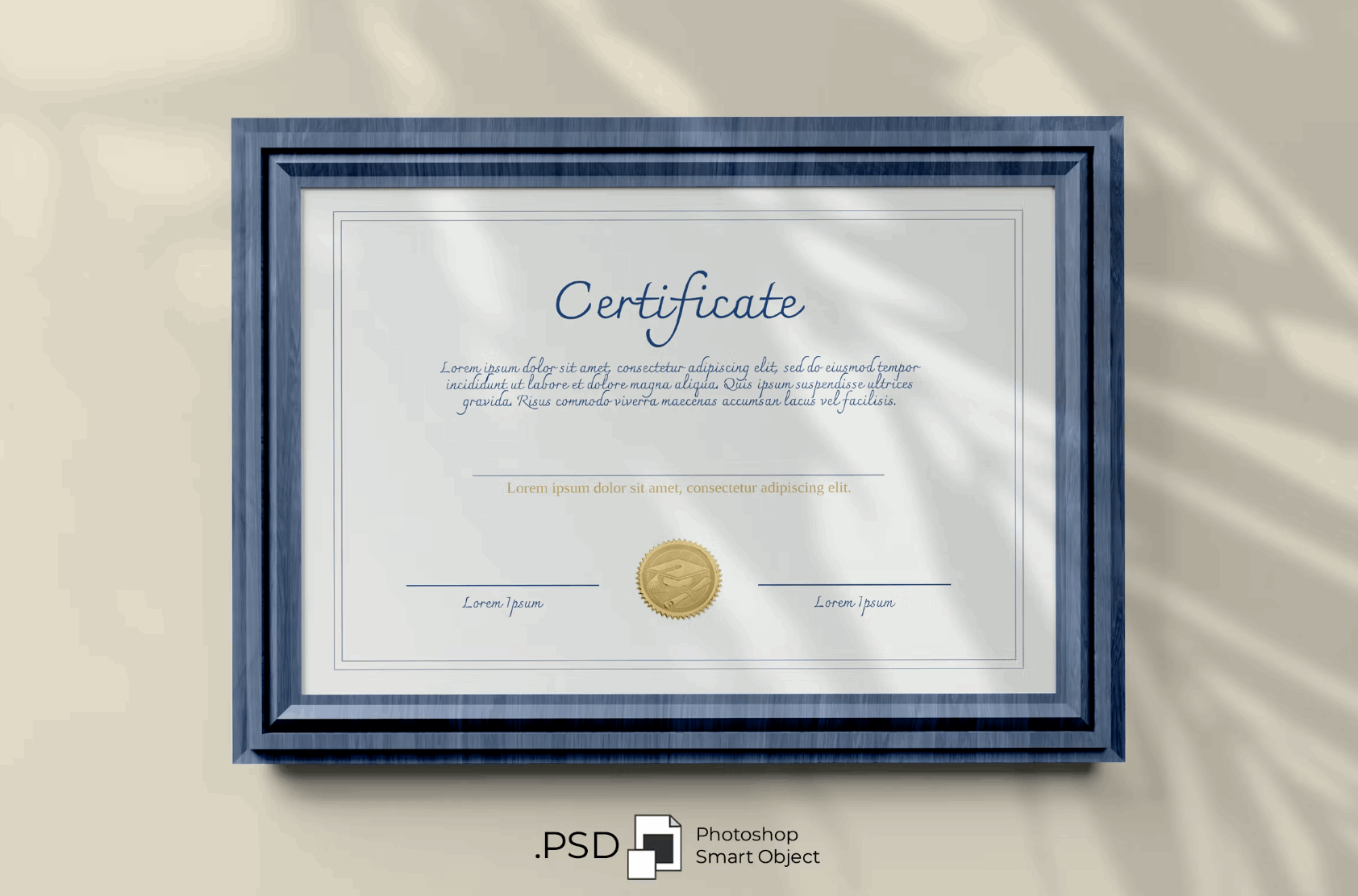 134Certificate Mockup