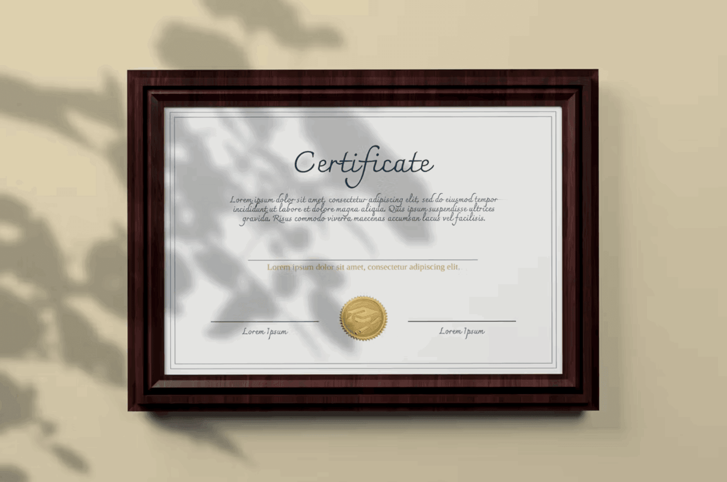 134Certificate Mockup - whaledesign