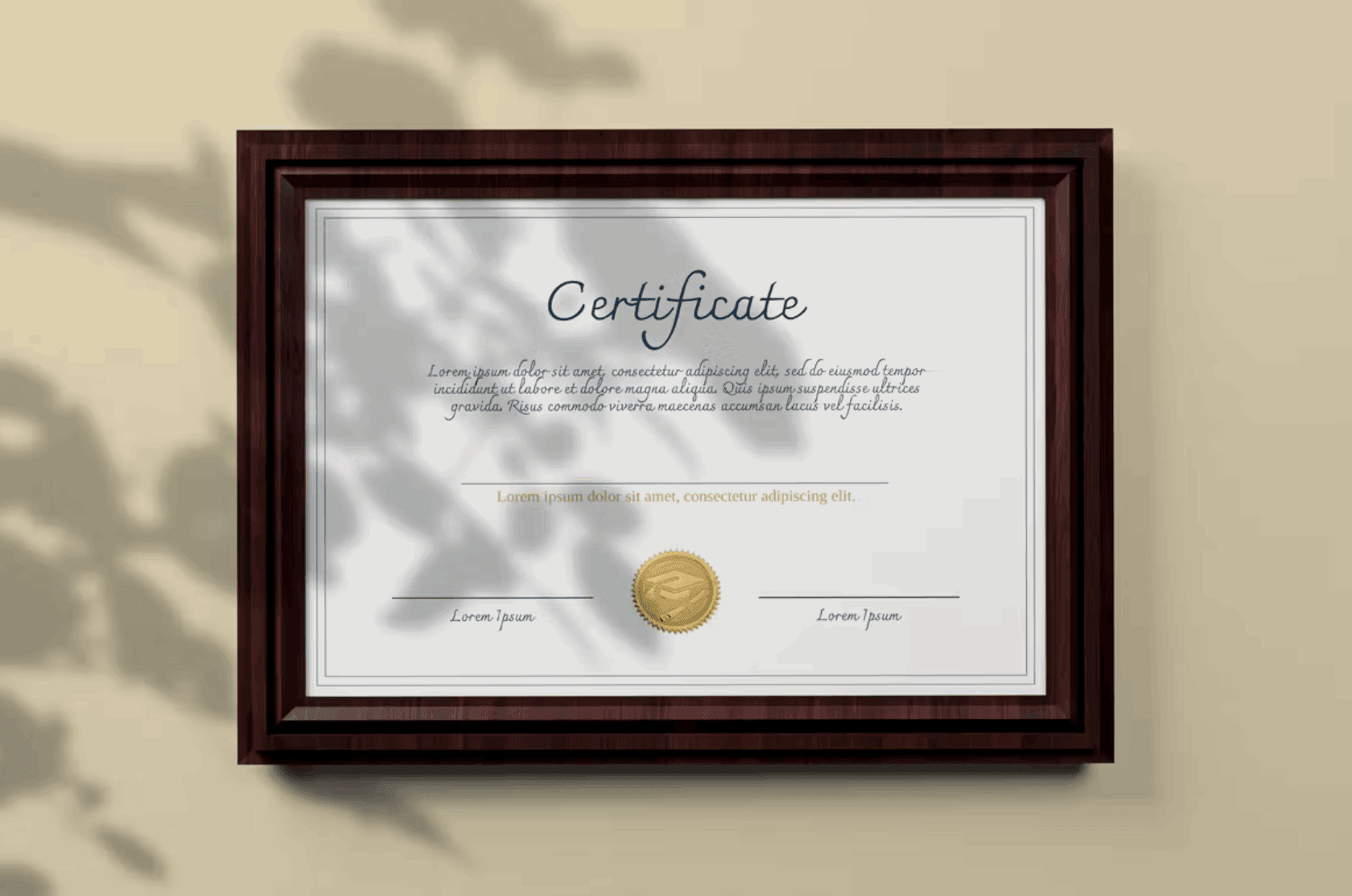 134Certificate Mockup - whaledesign