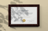134Certificate Mockup - whaledesign