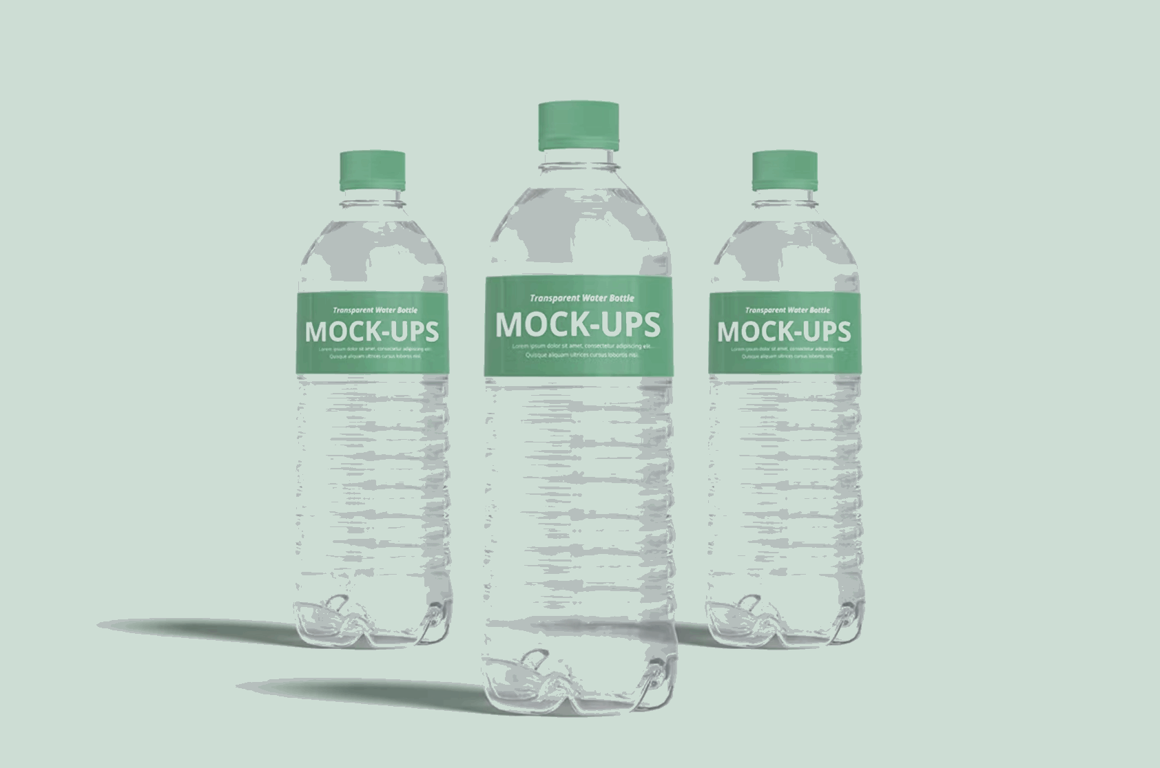 135Transparent Water Bottle Mockup