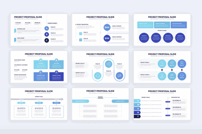 247Business Project Proposal Illustrator Infographics - whaledesign