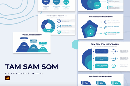 249Business TAM SAM SOM Illustrator Infographics - whaledesign