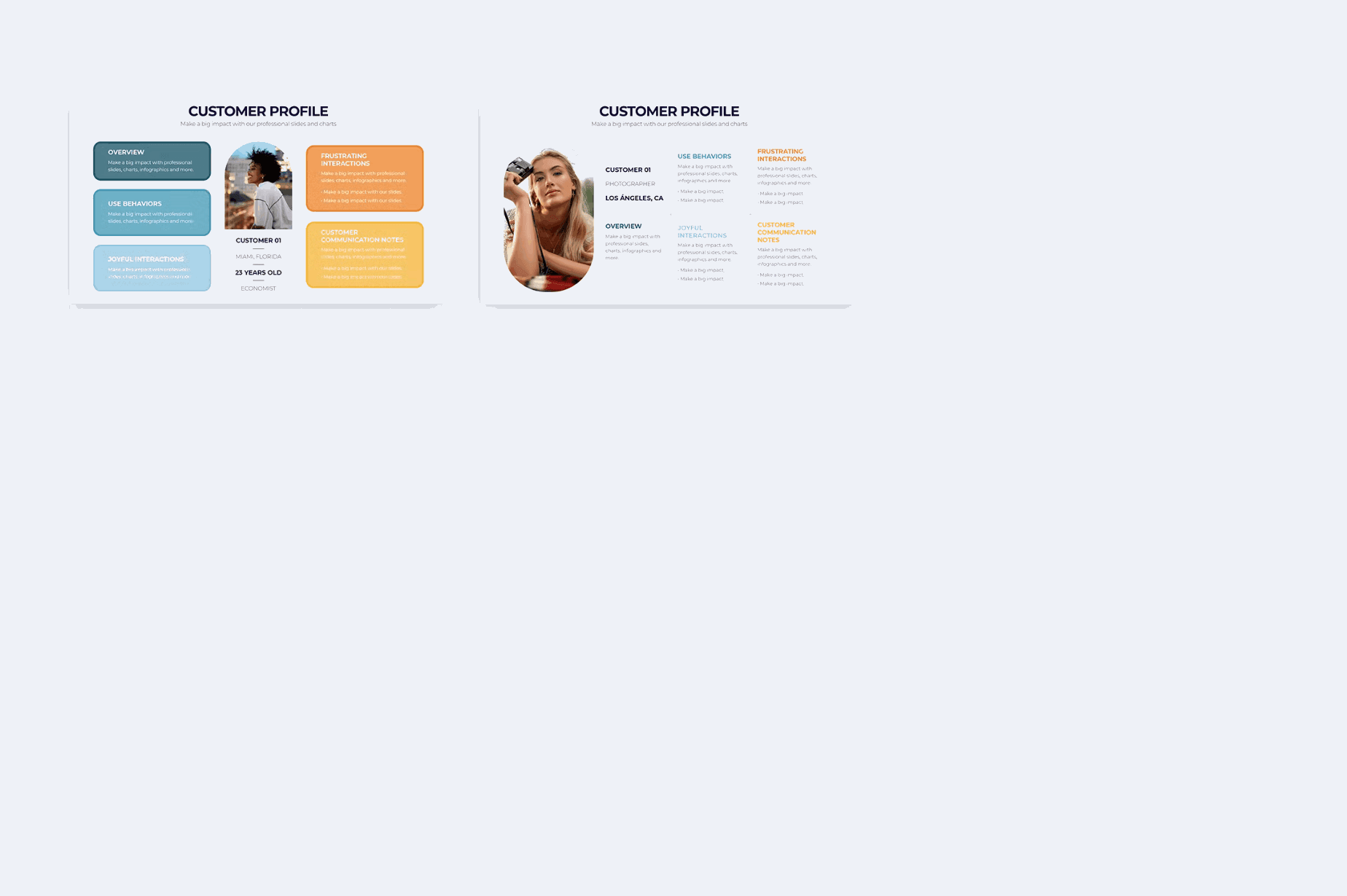 254Business Customer Profile Illustrator Infographics - whaledesign